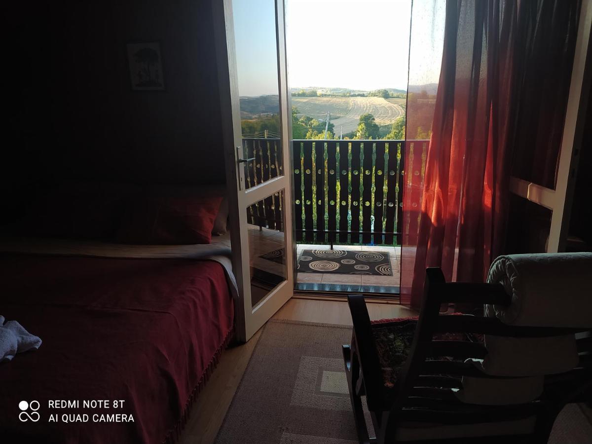 Sweet Dreams Apartment Zajecar Luaran gambar