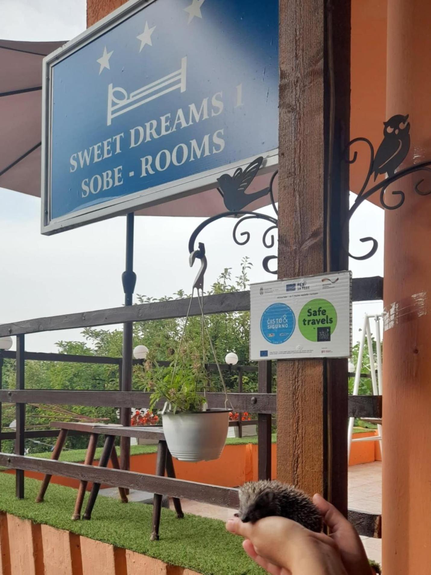 Sweet Dreams Apartment Zajecar Luaran gambar