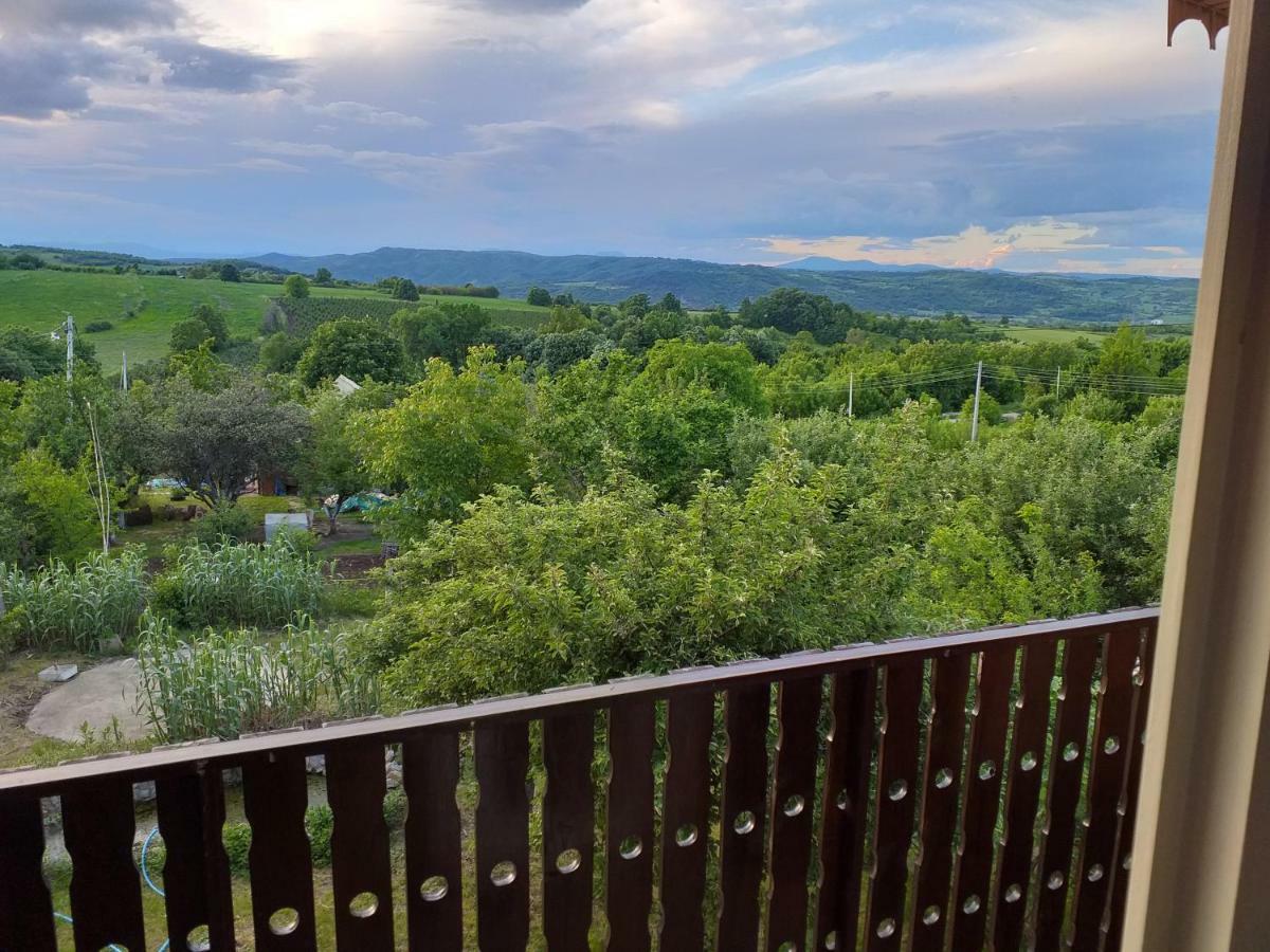 Sweet Dreams Apartment Zajecar Luaran gambar